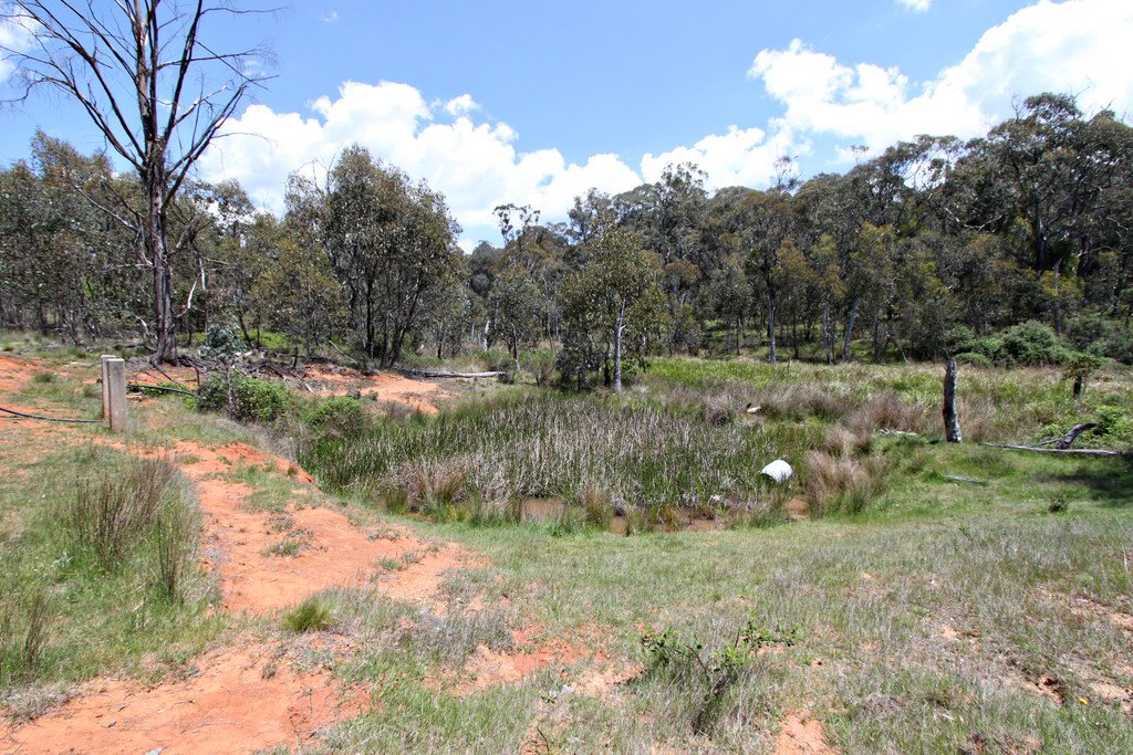 287 Willigobung Road TUMBARUMBA 15