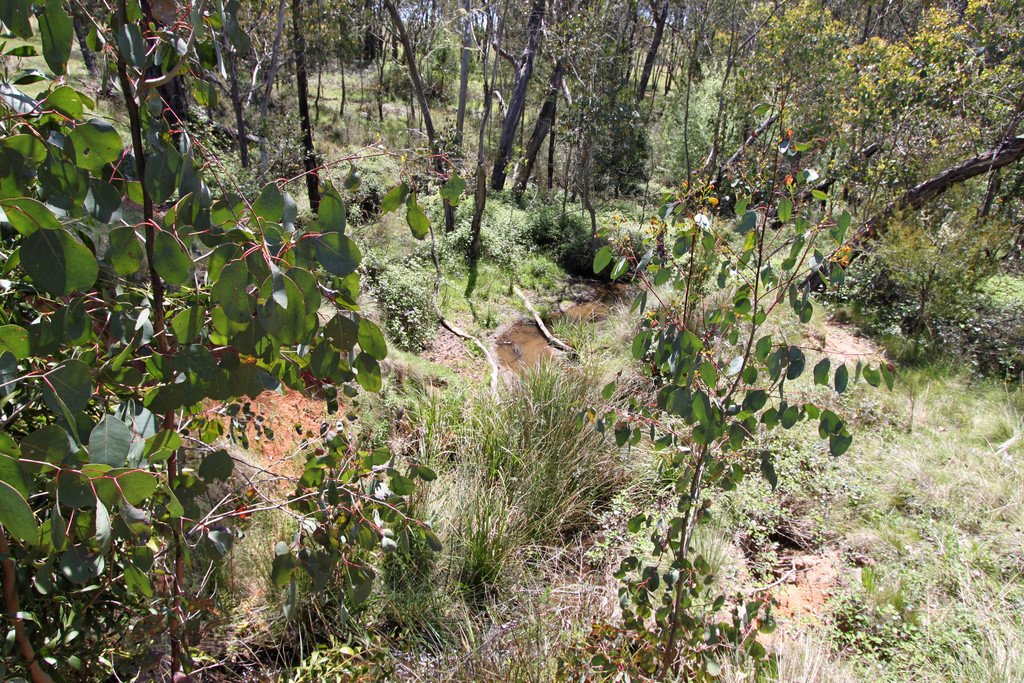 287 Willigobung Road TUMBARUMBA 18