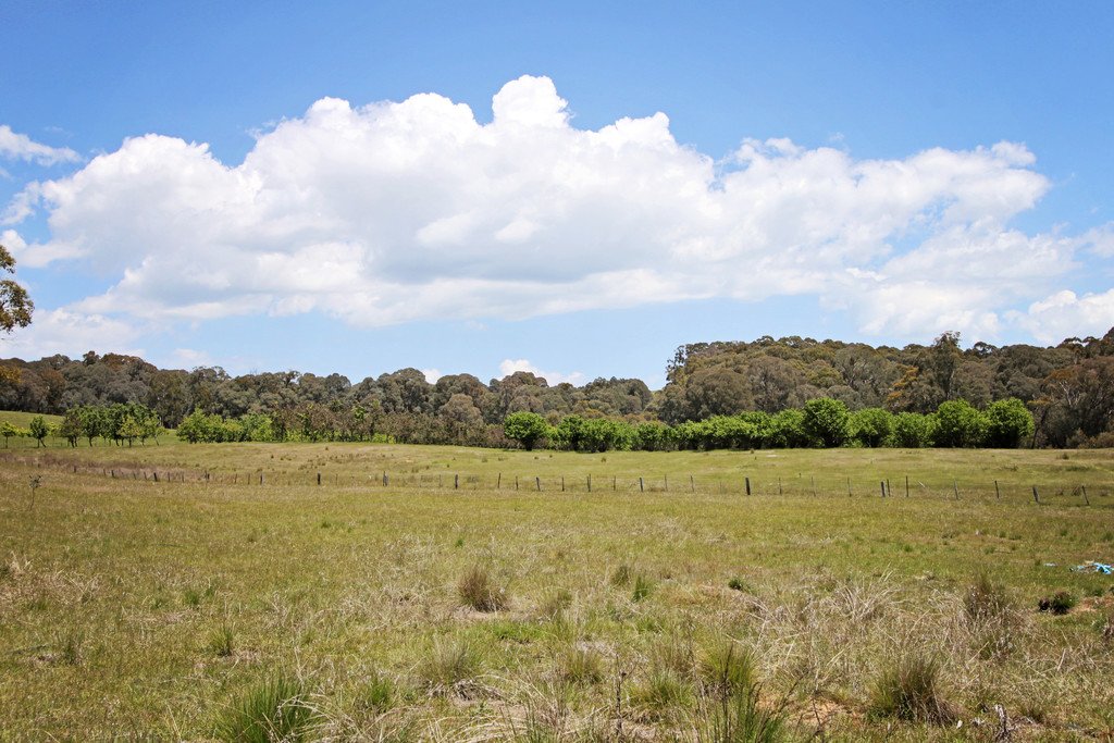 287 Willigobung Road TUMBARUMBA 22