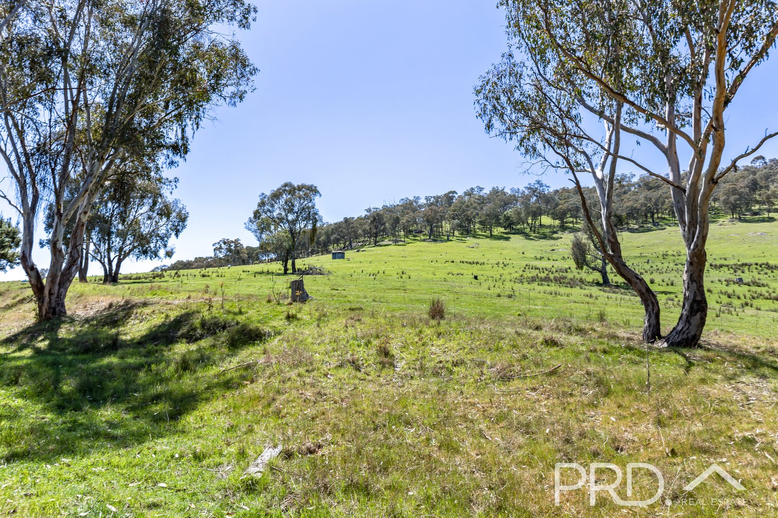 287 Wondalga Road ADELONG 11