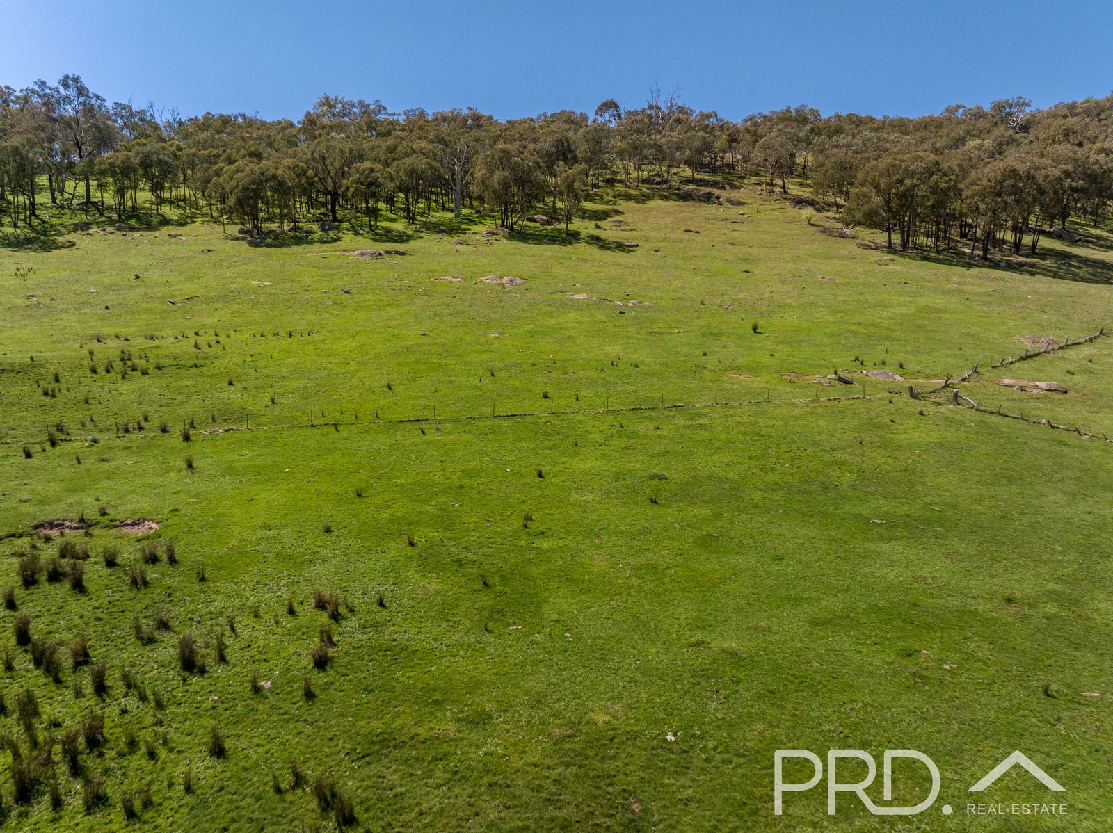 287 Wondalga Road ADELONG 12