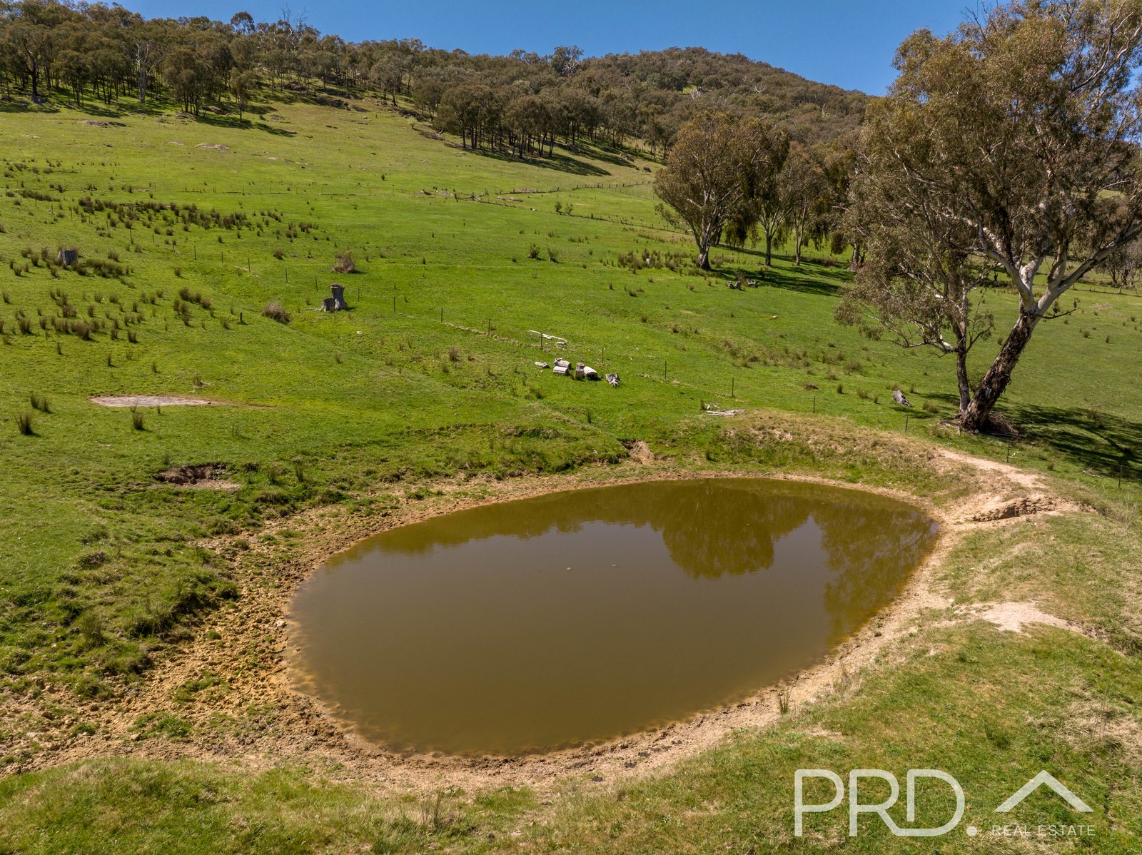 287 Wondalga Road ADELONG 13