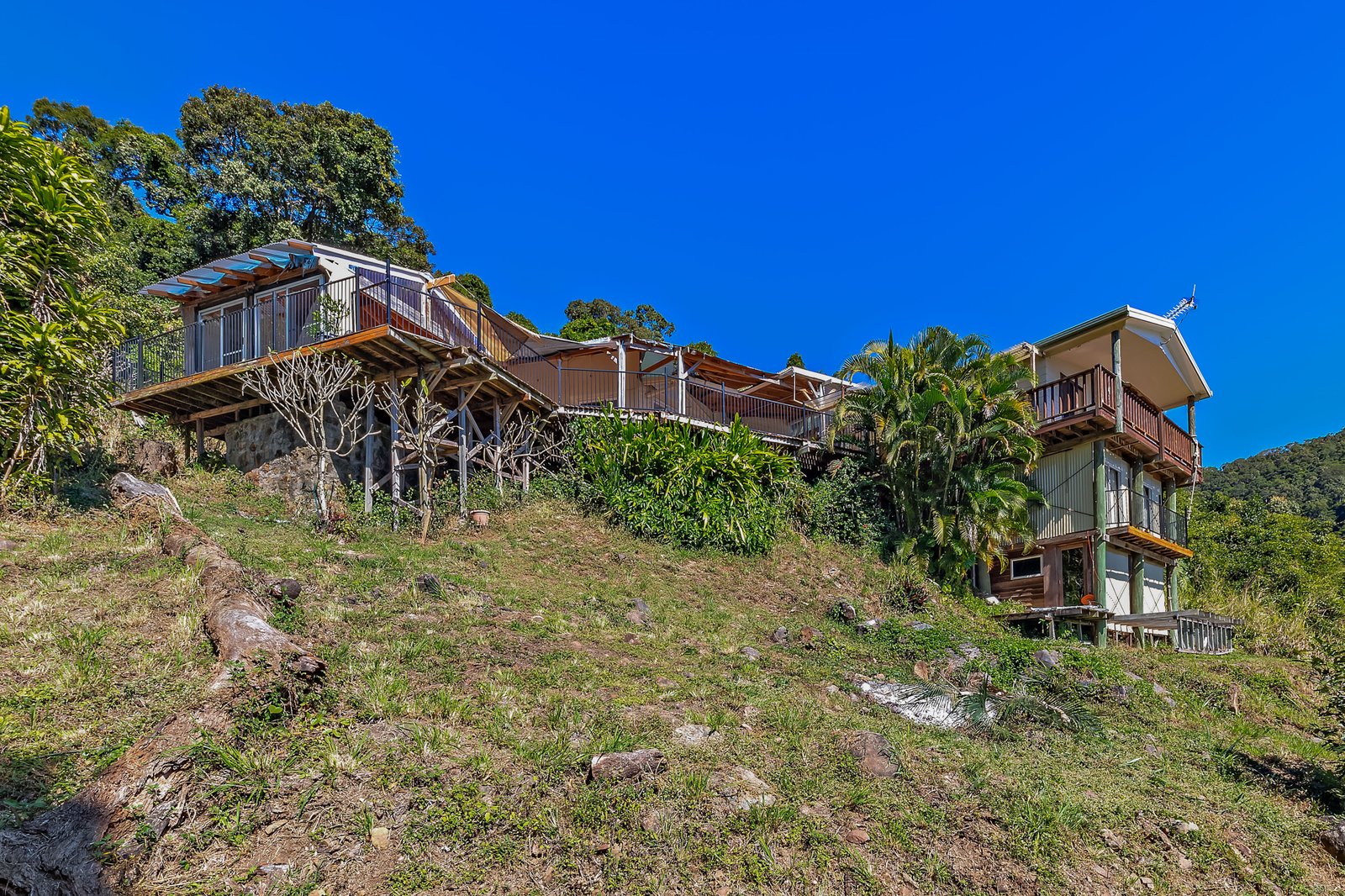 2870 Shute Harbour Road FLAMETREE 17