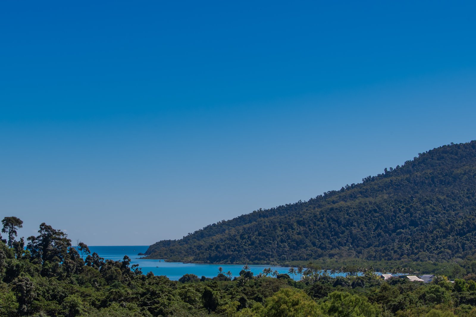 2870 Shute Harbour Road FLAMETREE 18