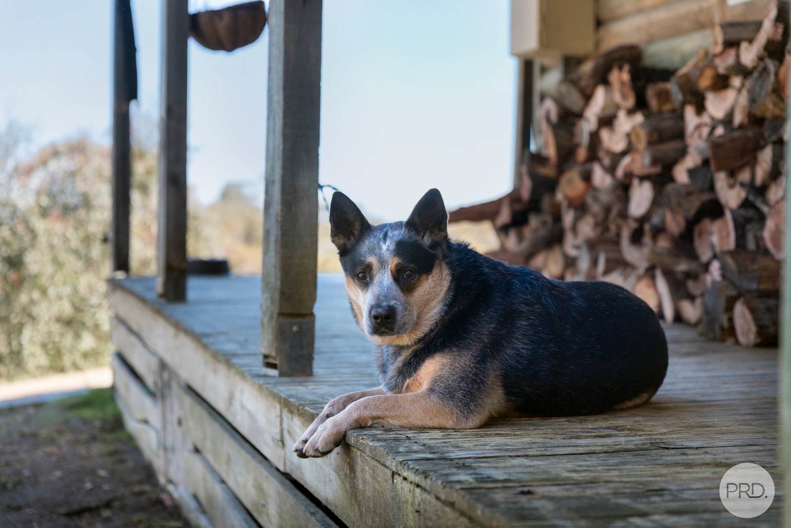 288 Flagstaff Ridge Road LINTON 21