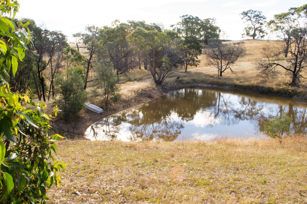 288 Flagstaff Ridge Road LINTON 4