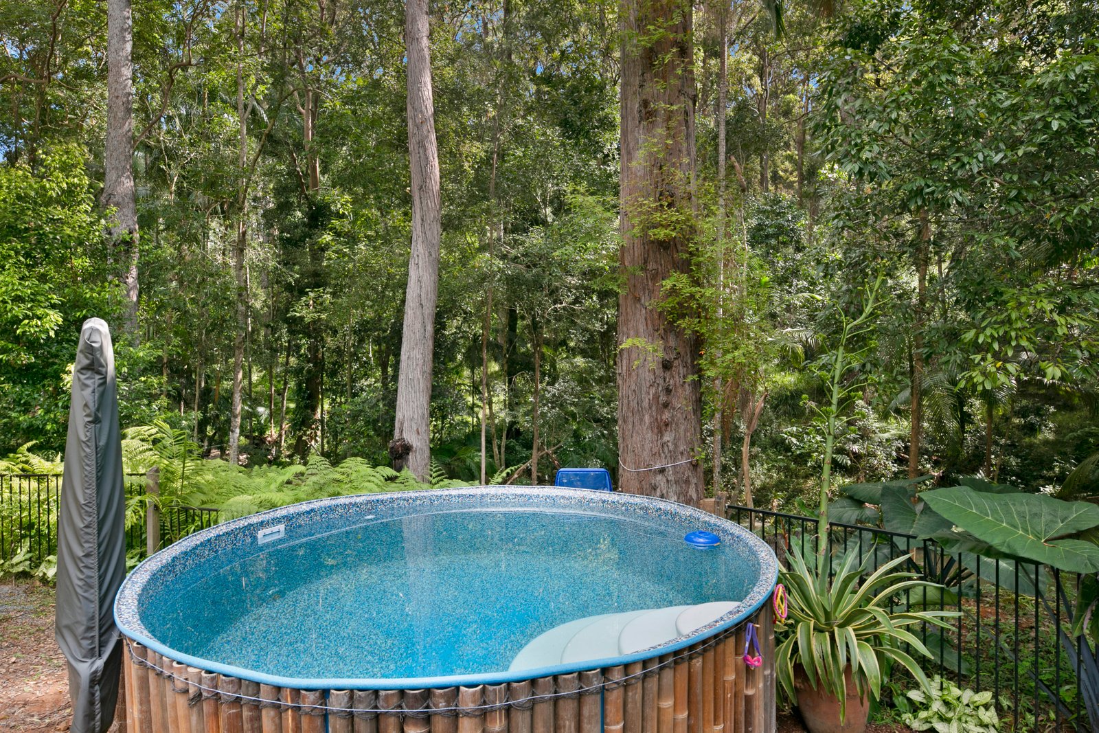 288 Trees Road TALLEBUDGERA 22