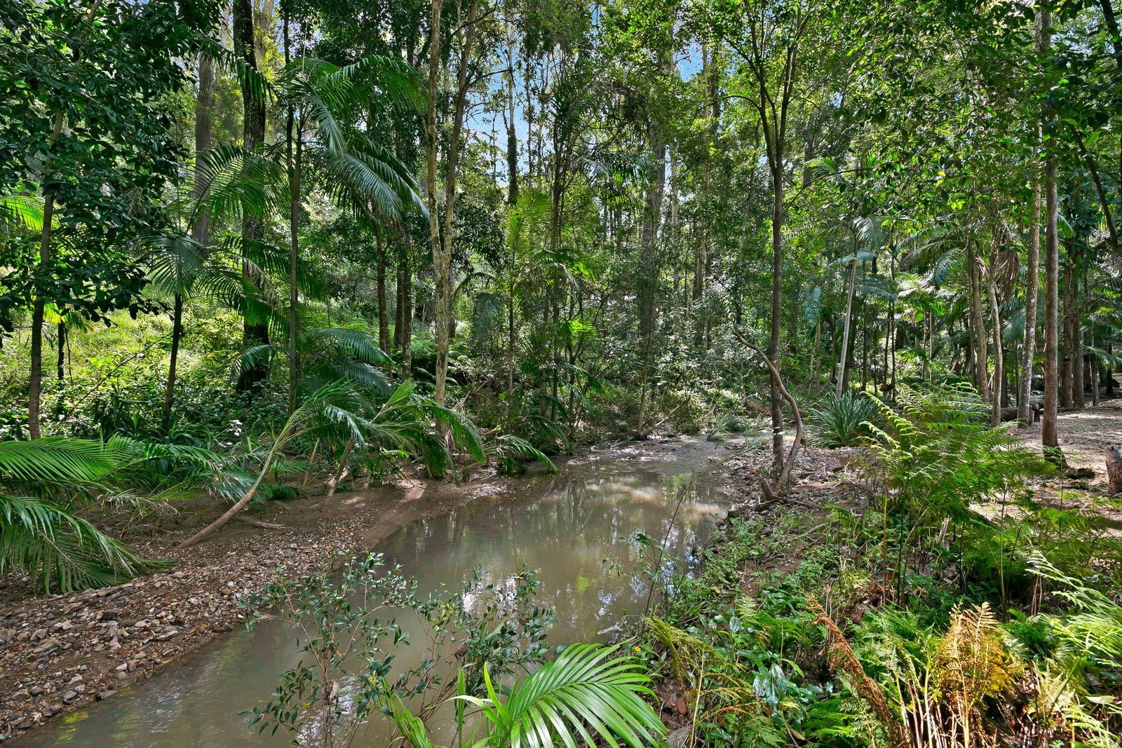 288 Trees Road TALLEBUDGERA 27