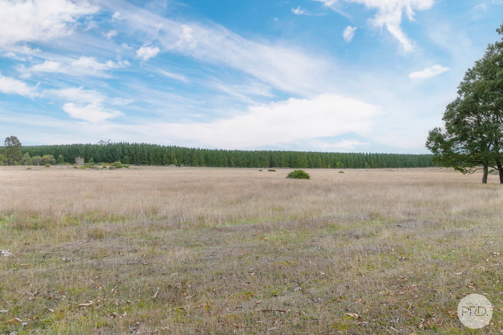 289 Clarendon-Lal Lal Road LAL LAL 15