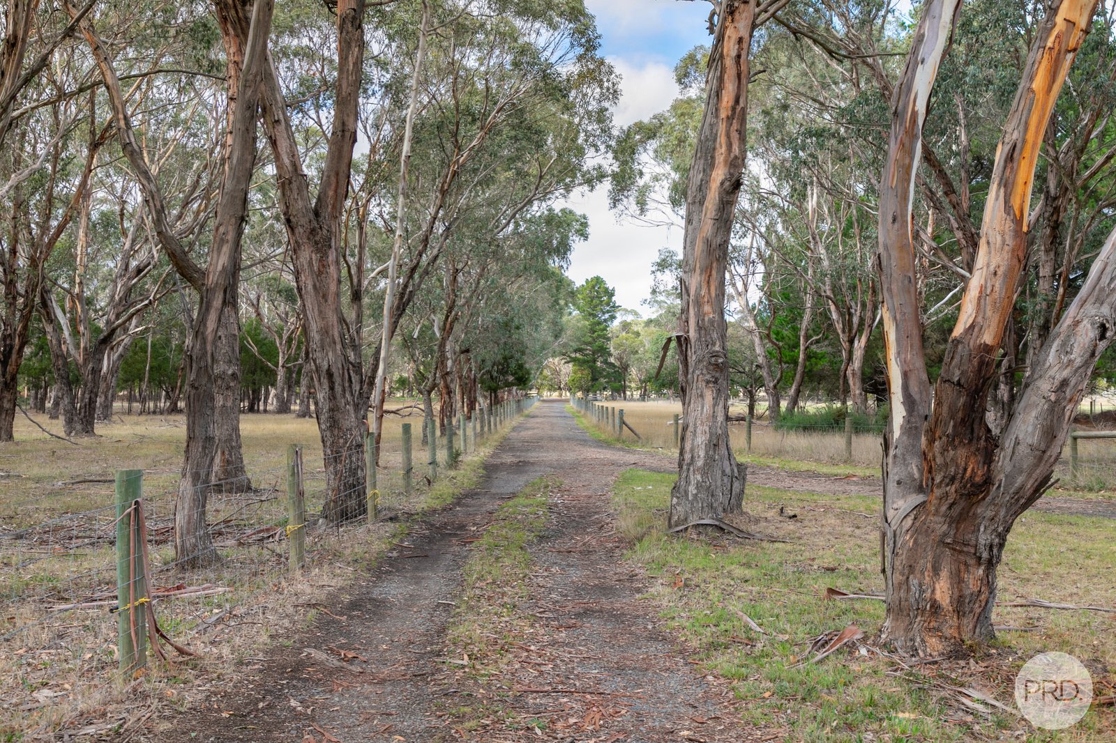 289 Clarendon-Lal Lal Road LAL LAL 16