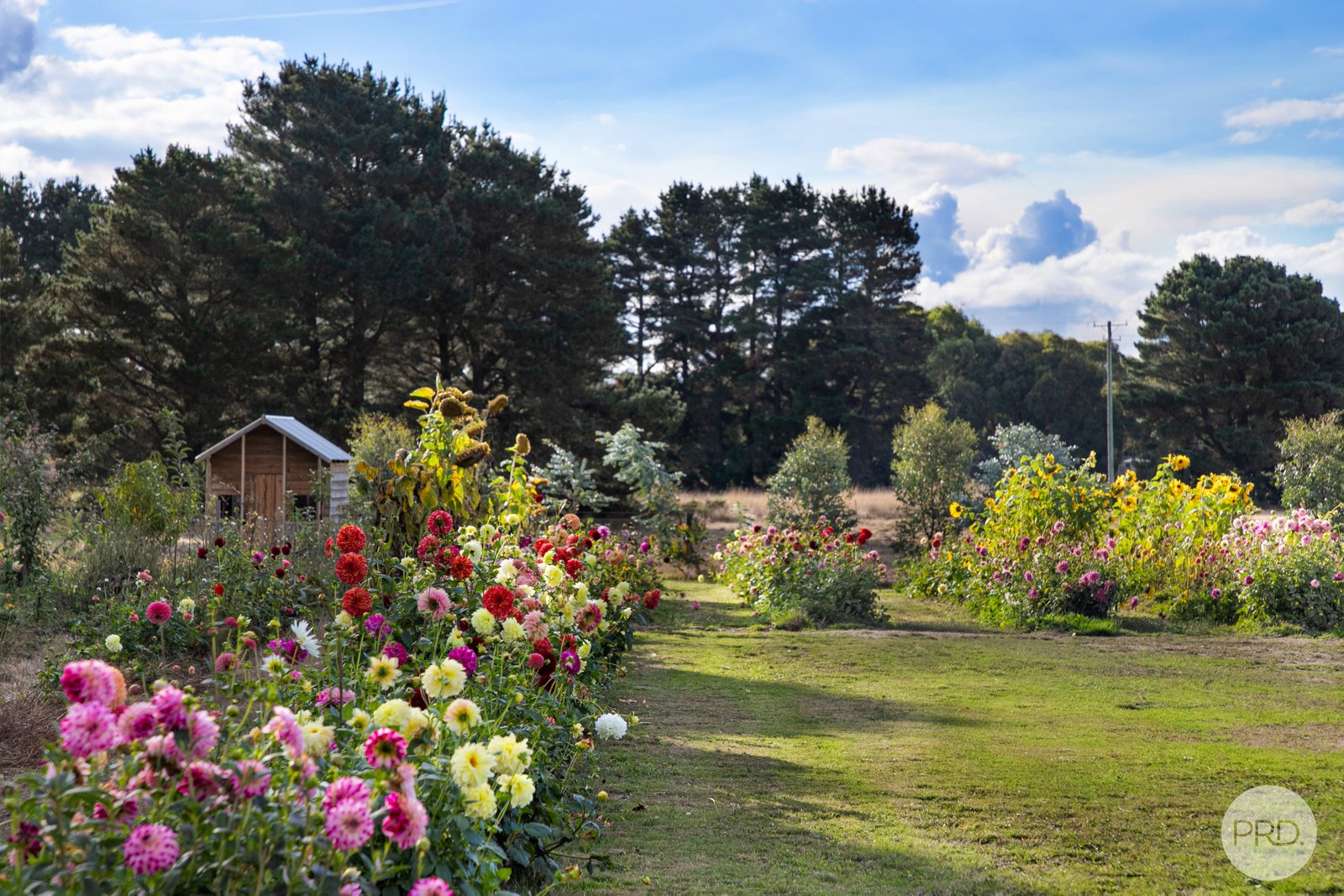 289 Wilsons Road HADDON 18