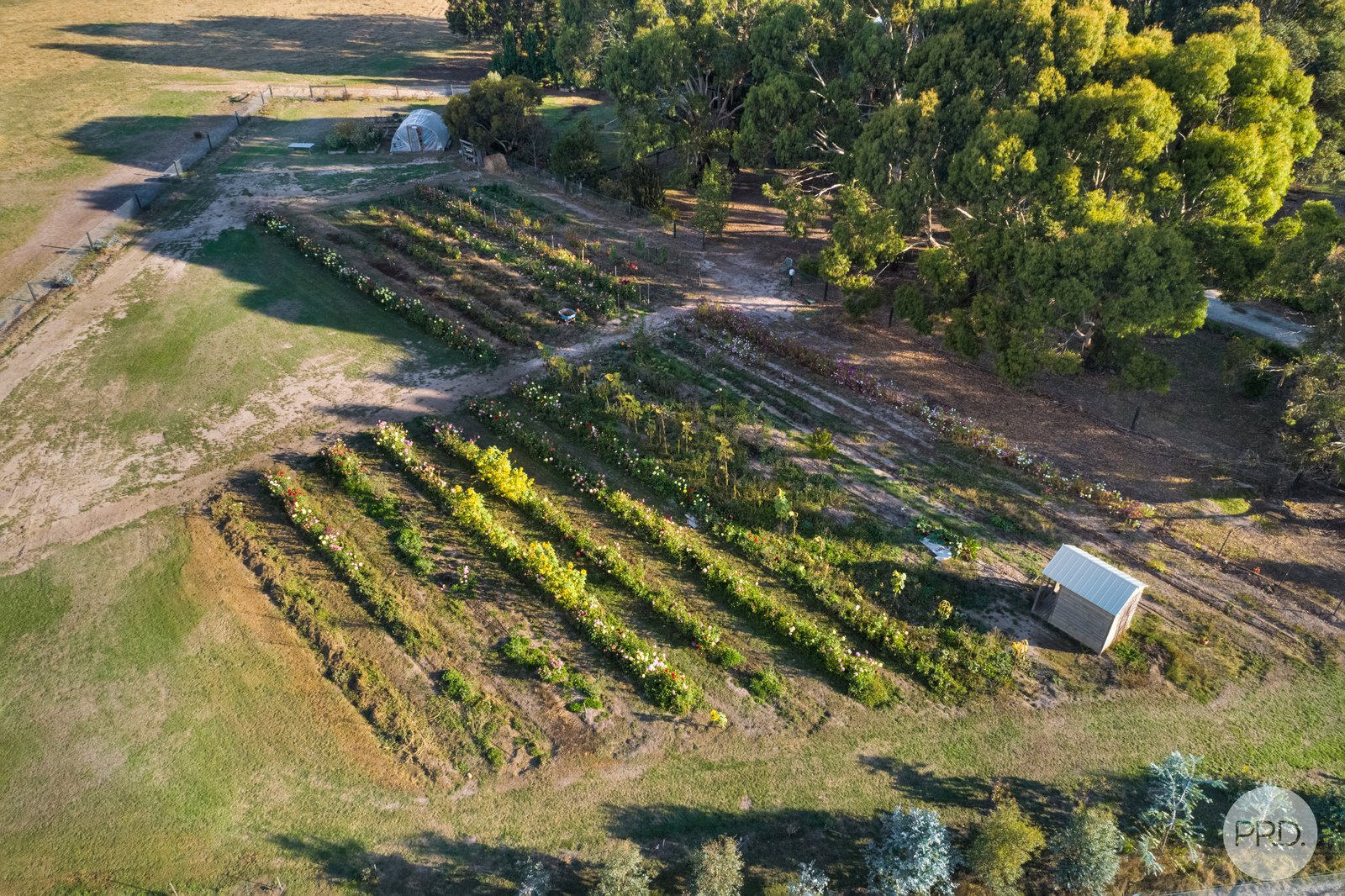 289 Wilsons Road HADDON 20