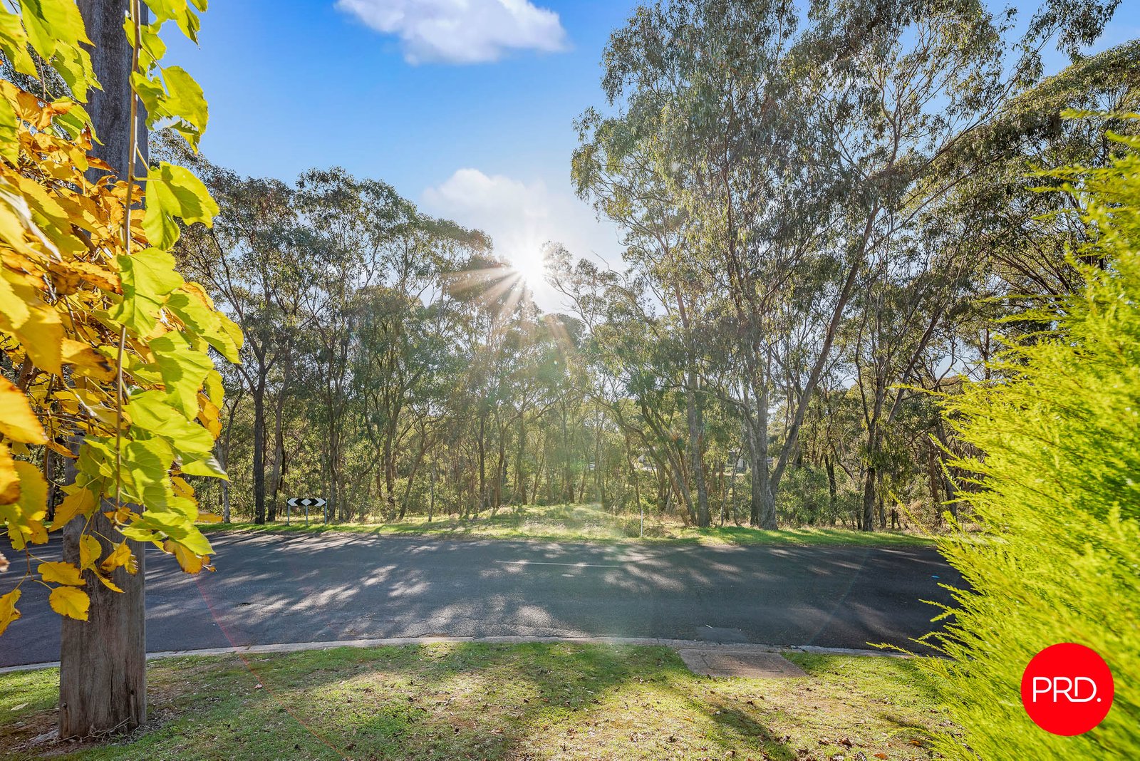 29 Autumn Gully Road SPRING GULLY 23