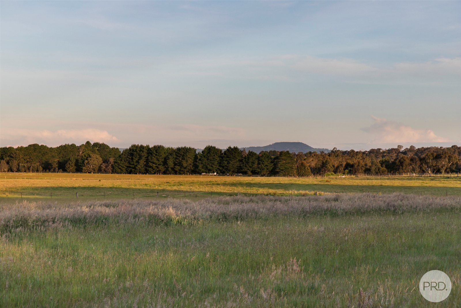 29 Bellclover Court SMYTHES CREEK 21