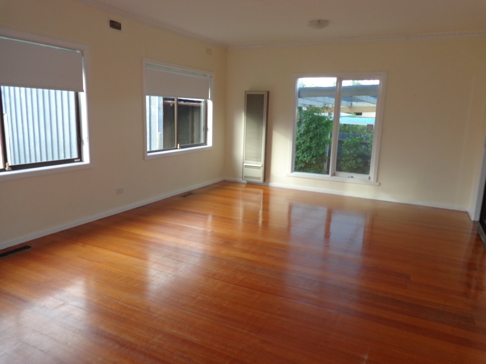 Gallery: 29 Cedric Street