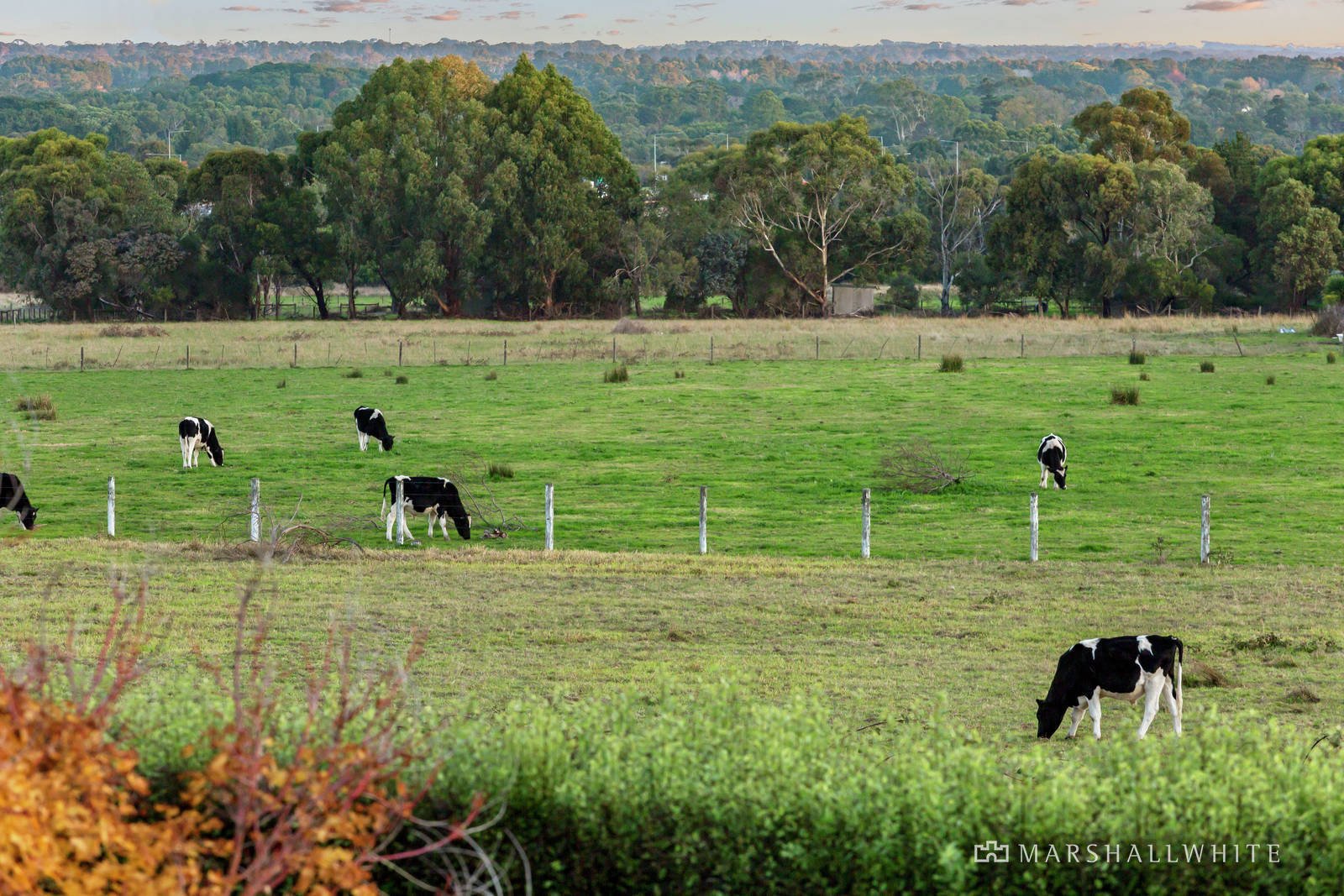 29 Colbert Court, Frankston South, VIC