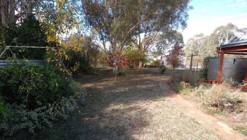 29 Cork Street GUNDAROO 13