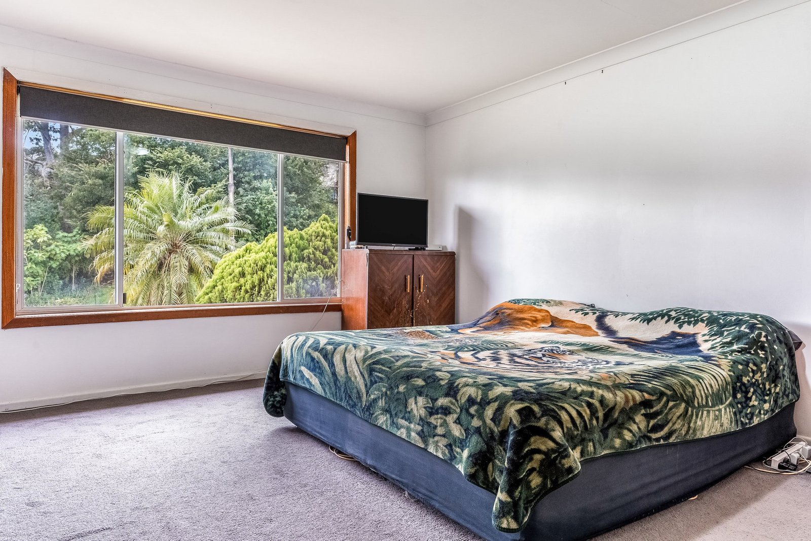 29 Curtois Street KYOGLE 4