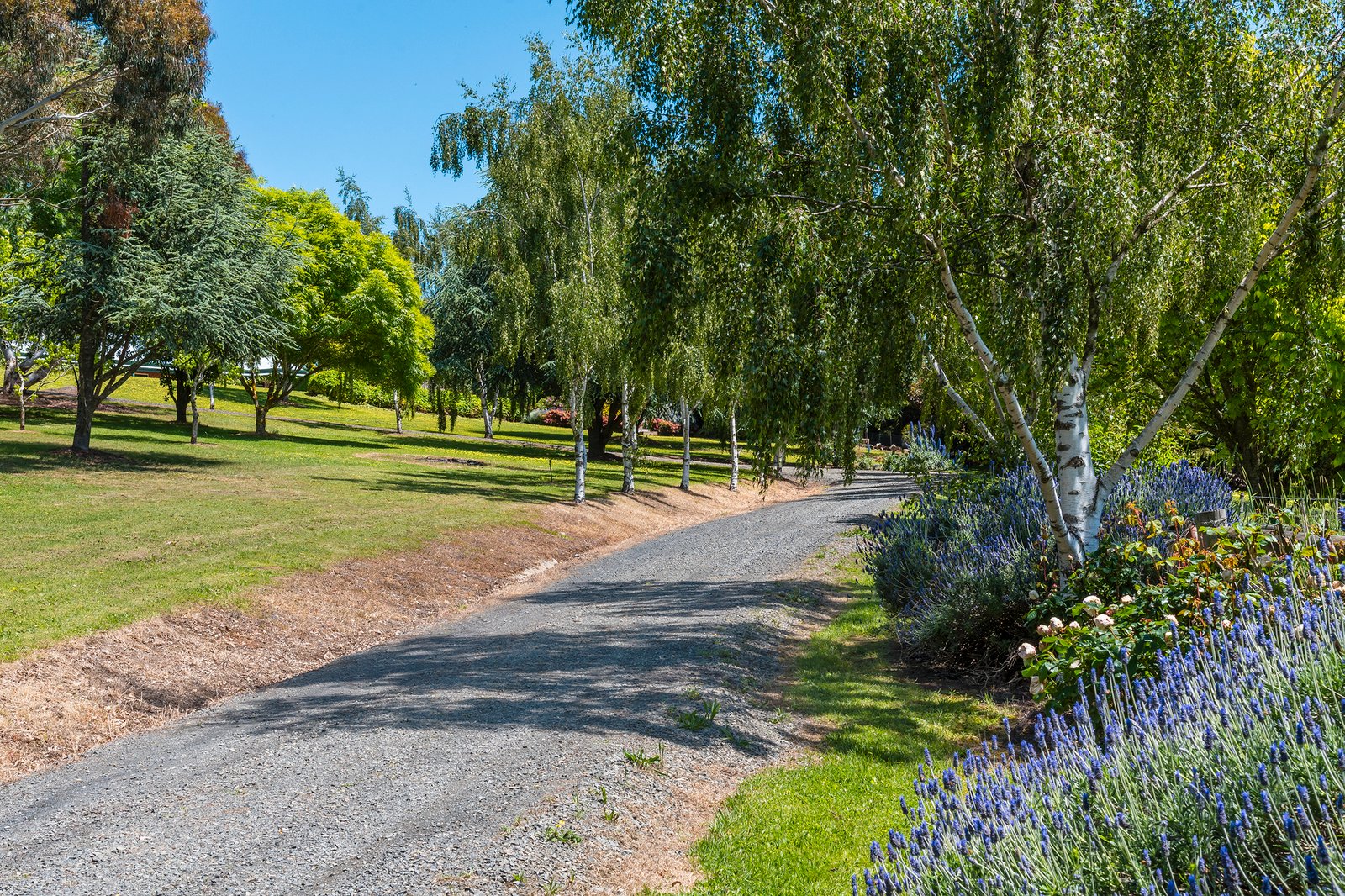 Real Estate and Property in 29 Dons Road, Newham, VIC