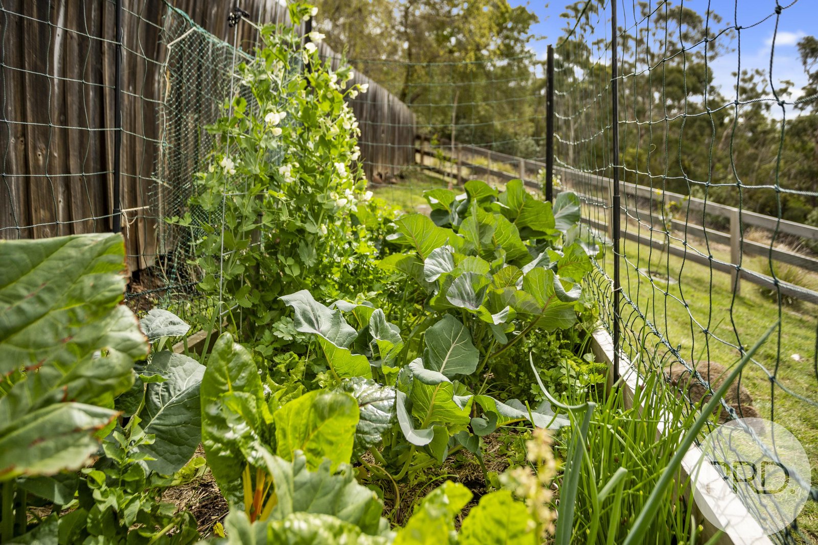 29 Firth Road LENAH VALLEY 25