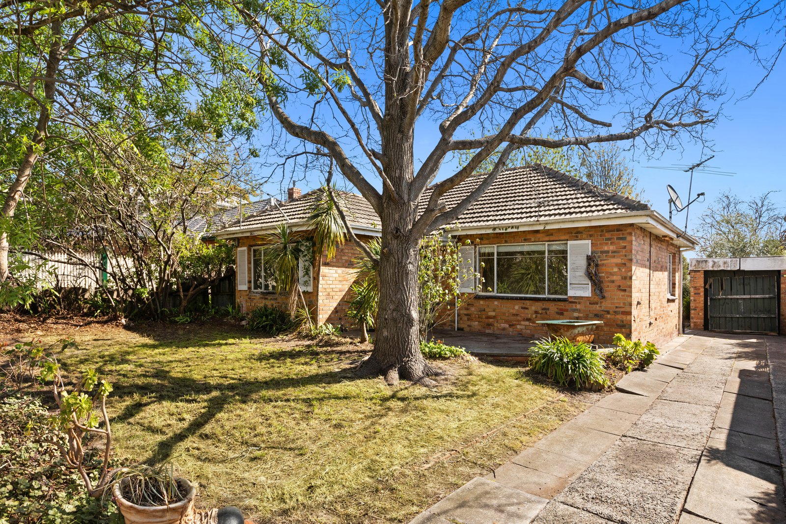 Gallery: 29 Franklin Street