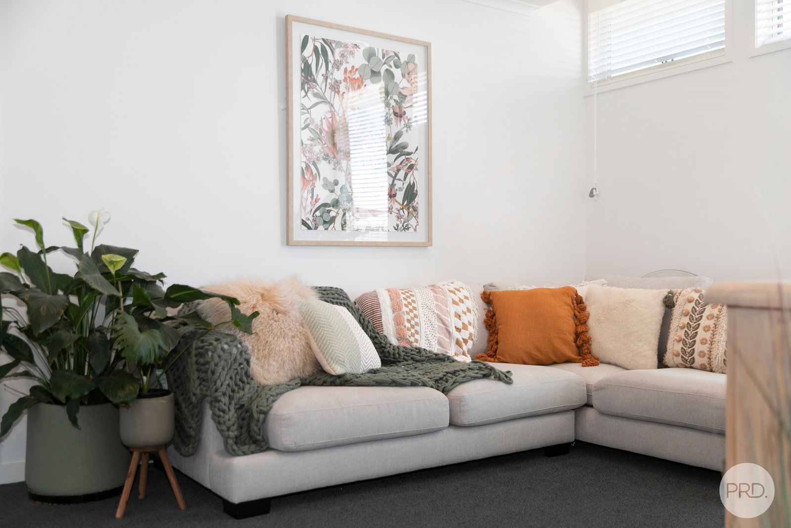 29 Goddard Street LUCAS 4