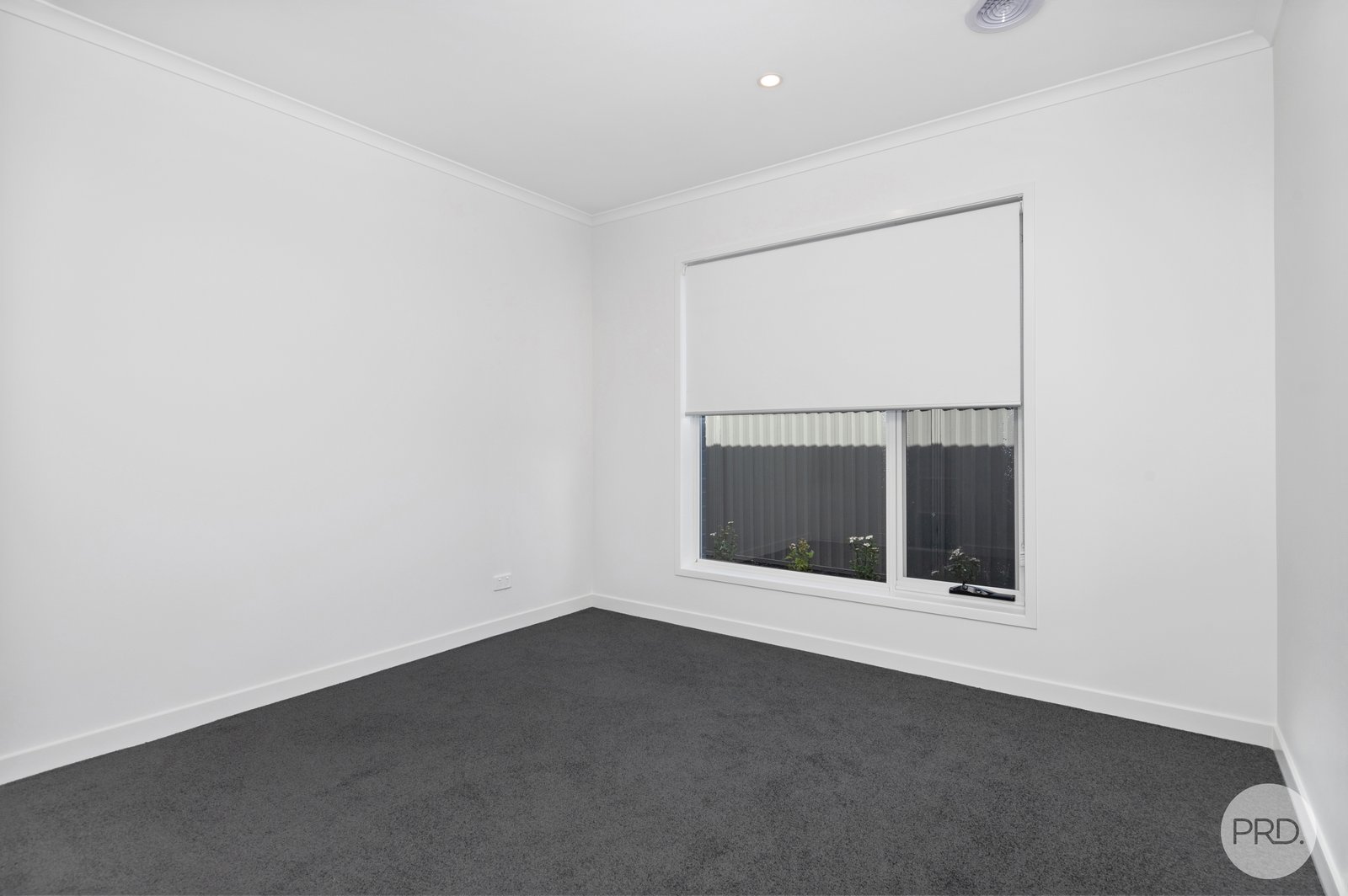 29 Goddard Street LUCAS 10