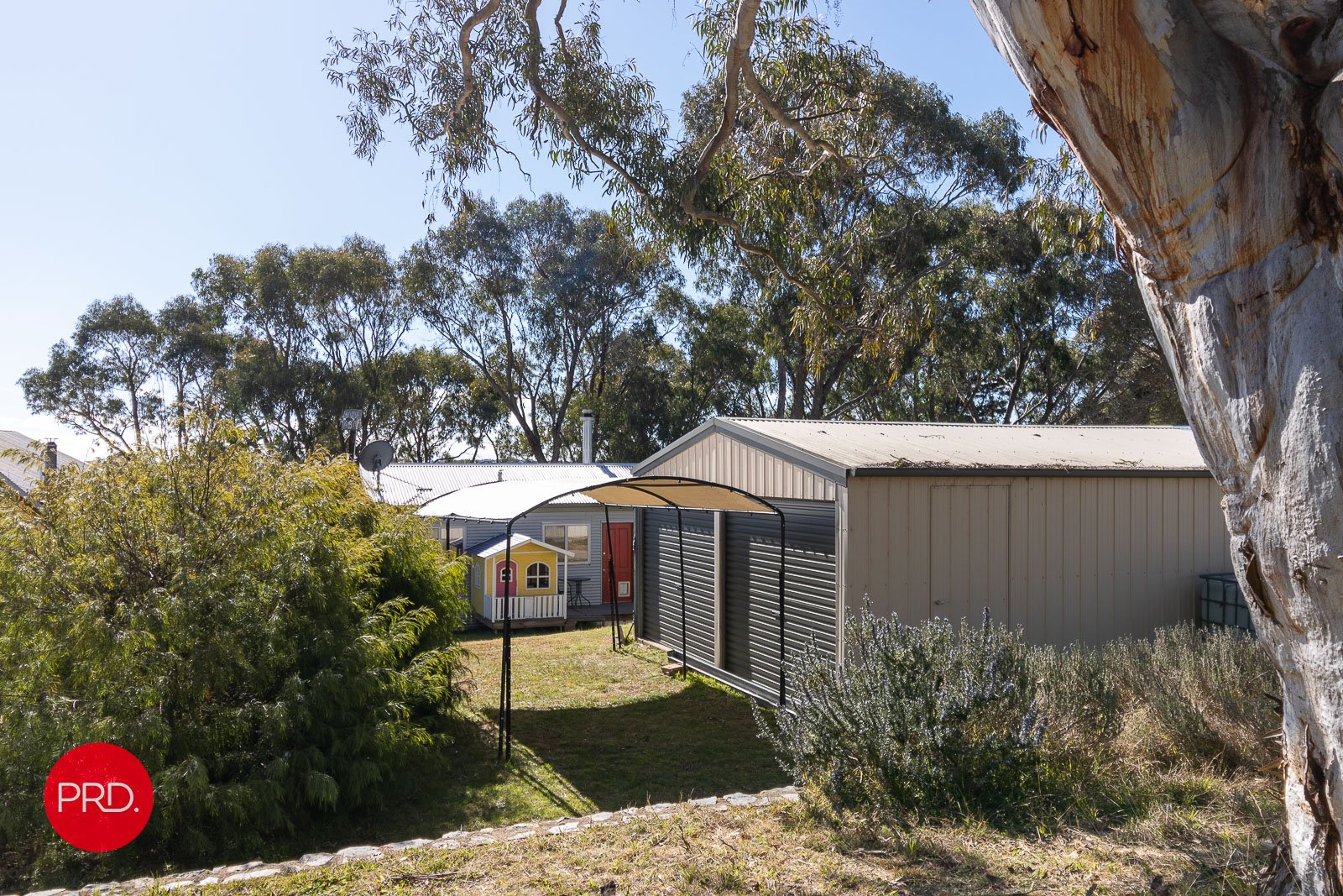 29 Goulburn Street COLLECTOR 20