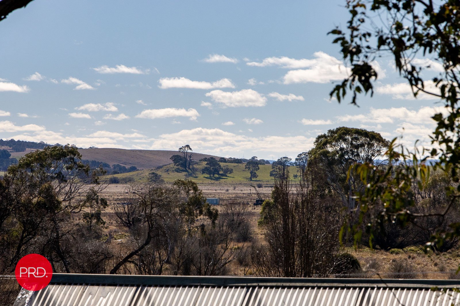 29 Goulburn Street COLLECTOR 22