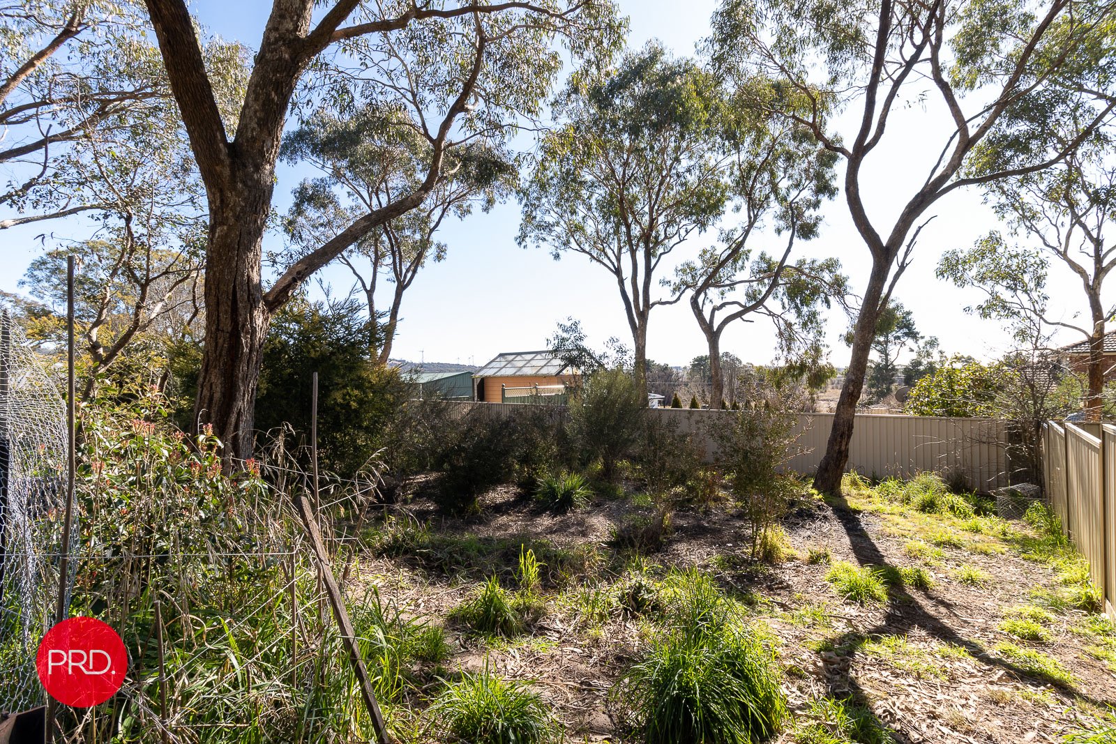 29 Goulburn Street COLLECTOR 23