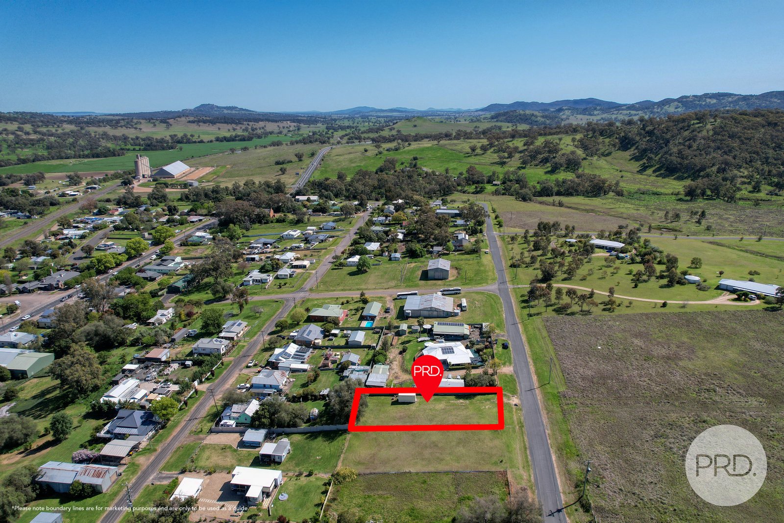 29 Hall Street WILLOW TREE 4