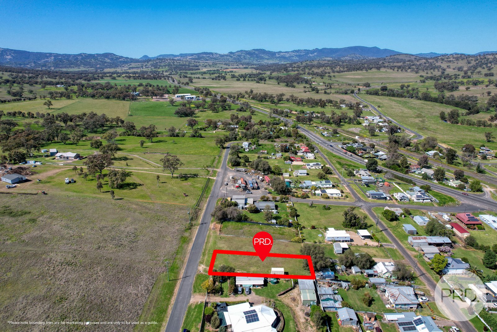29 Hall Street WILLOW TREE 6