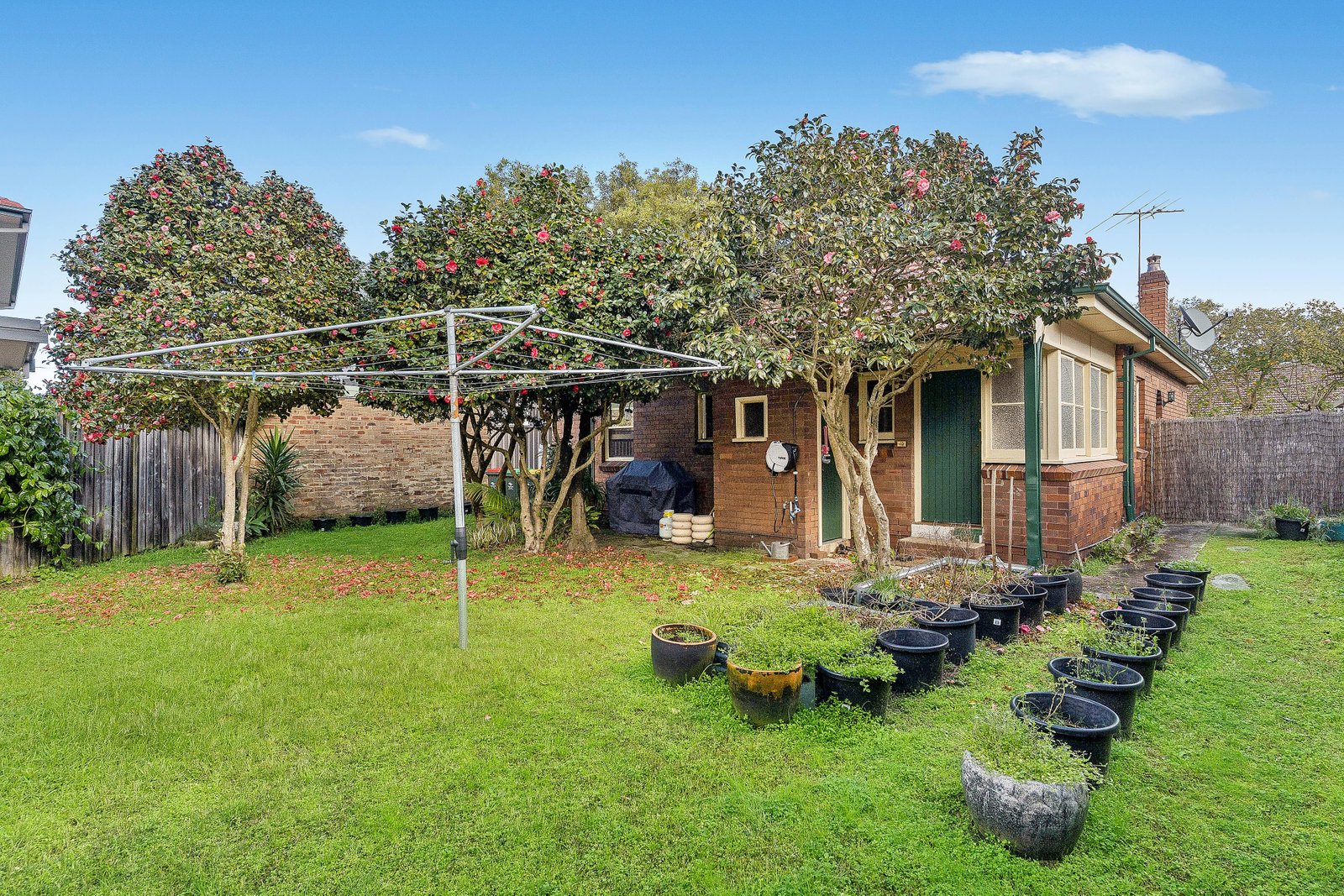 29 Ian Street MAROUBRA 7