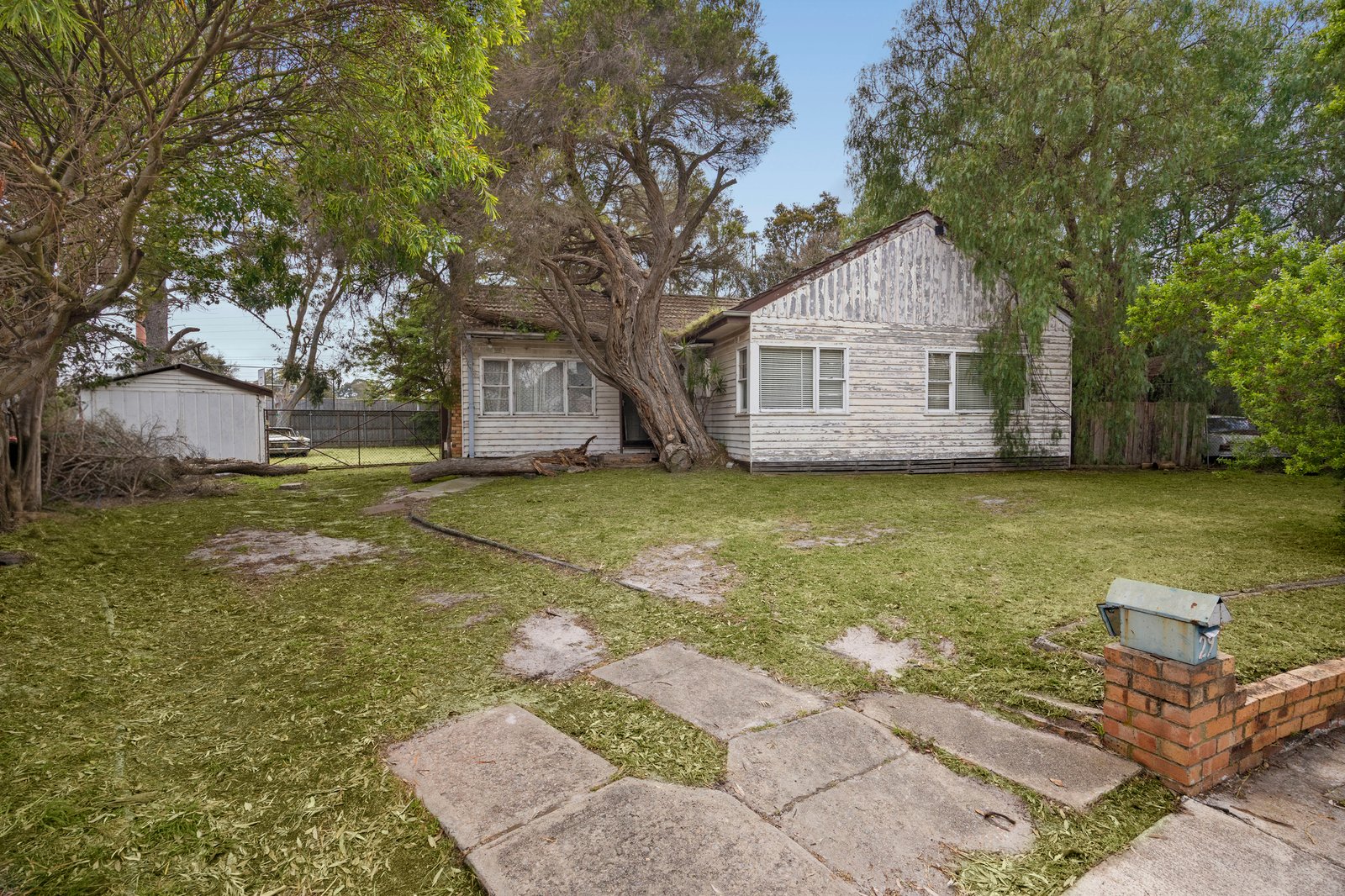 Gallery: 29 Jackson Road
