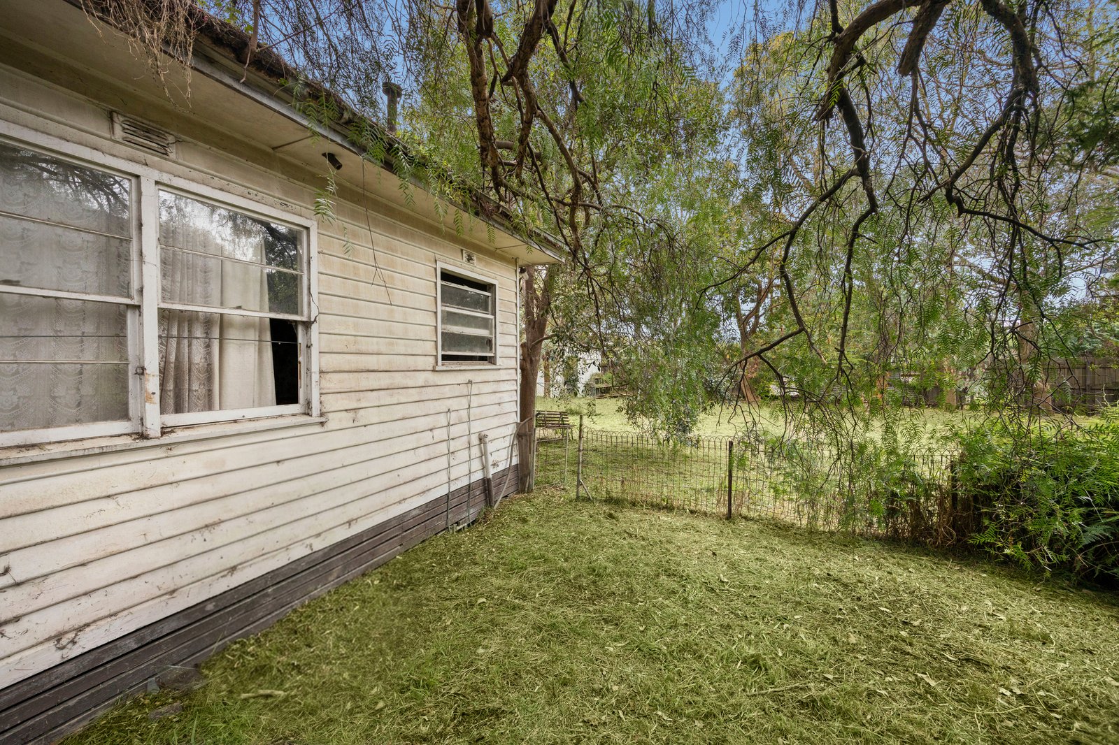 Gallery: 29 Jackson Road