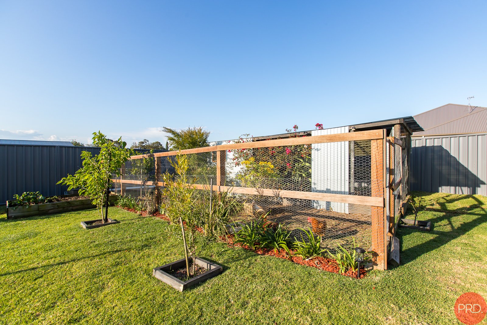 29 Johannes Street LOCHINVAR 34