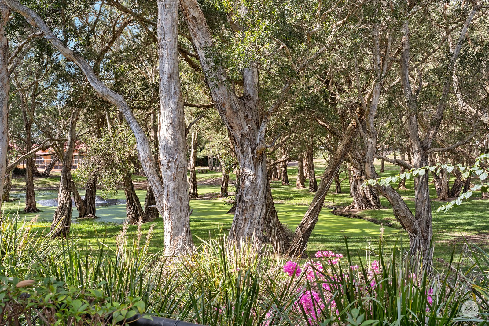 29 Lagoons Circuit NELSON BAY 8