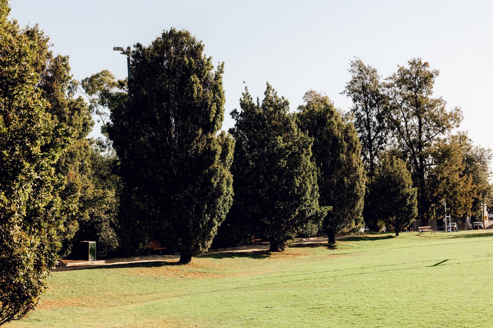 Real Estate and Property in 29 Larnook Street, Prahran, VIC