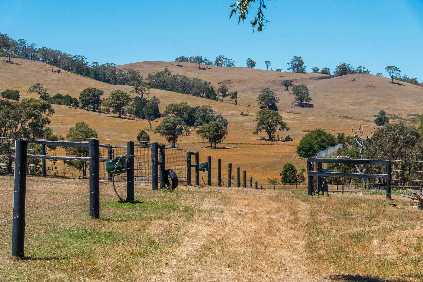 Real Estate and Property in 29 Lowden Close, Goldie, VIC