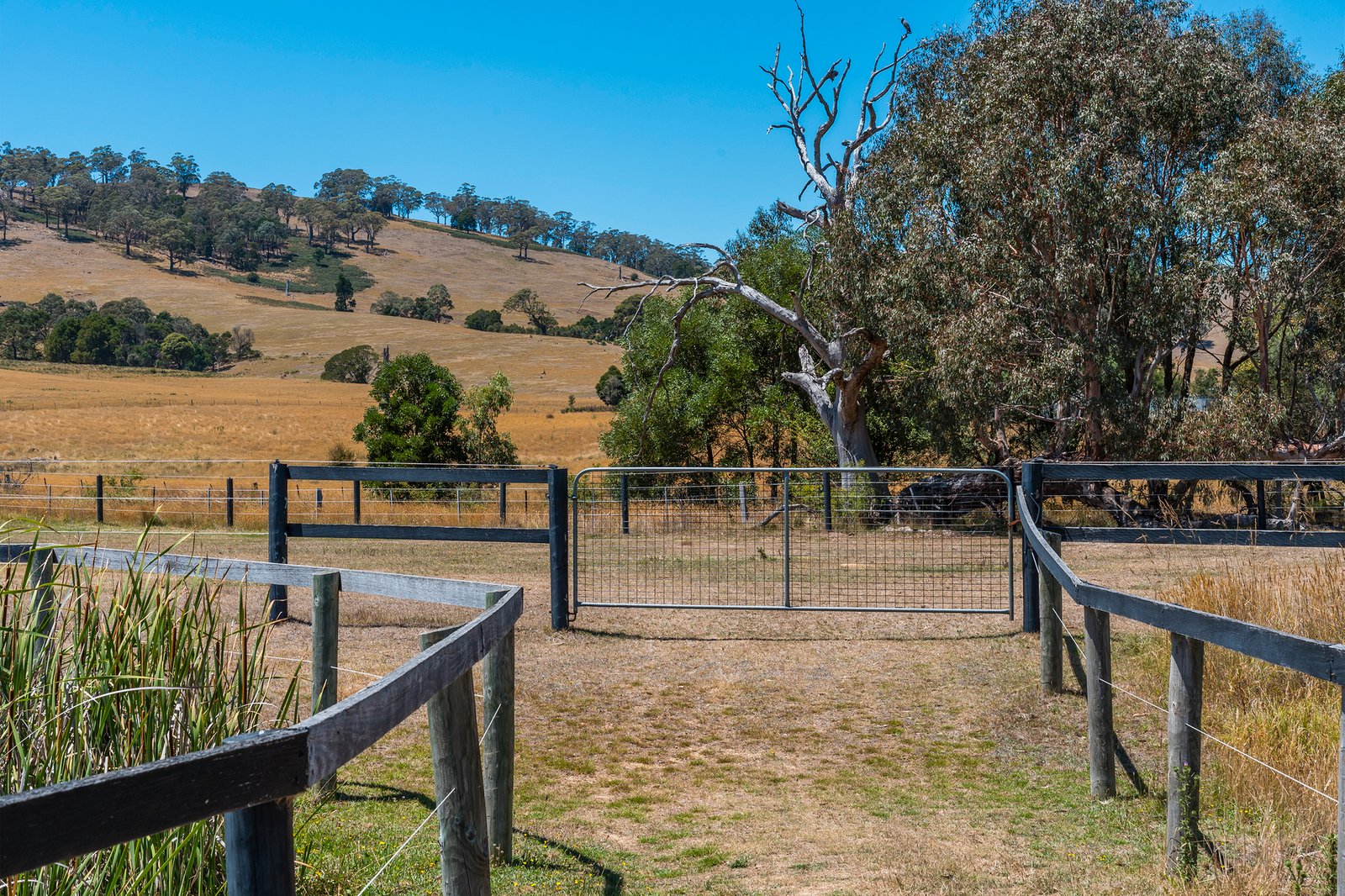 Real Estate and Property in 29 Lowden Close, Goldie, VIC