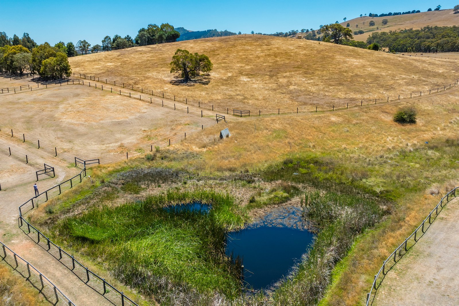 Real Estate and Property in 29 Lowden Close, Goldie, VIC