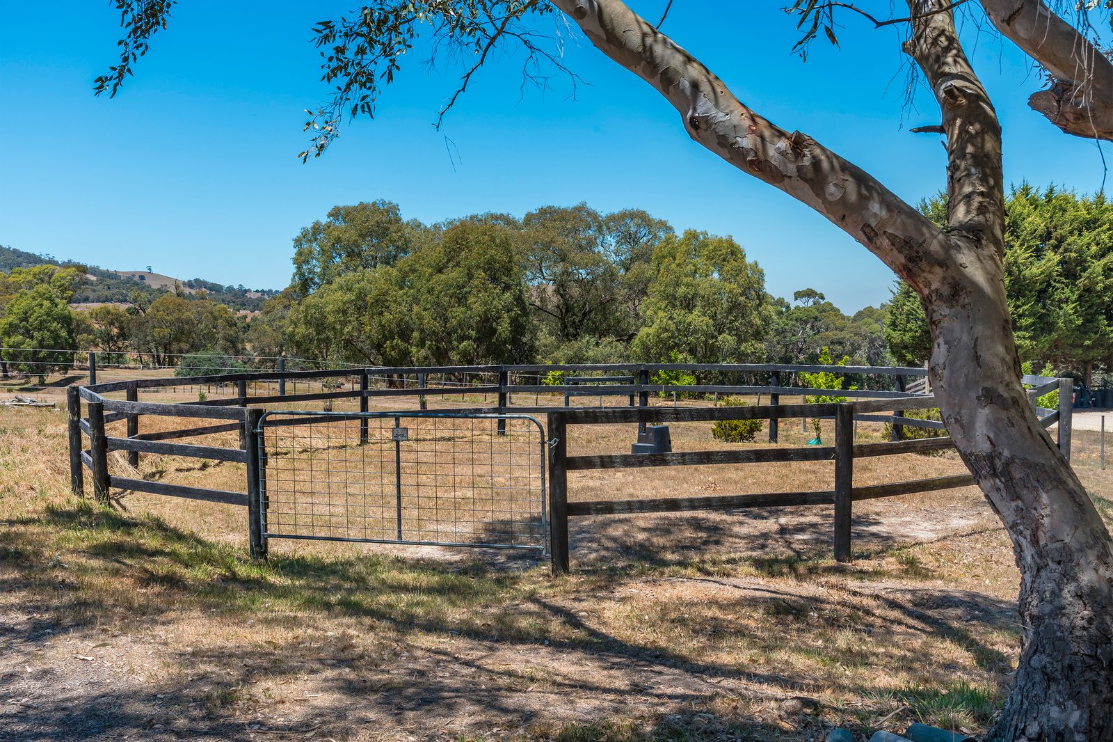 Real Estate and Property in 29 Lowden Close, Goldie, VIC