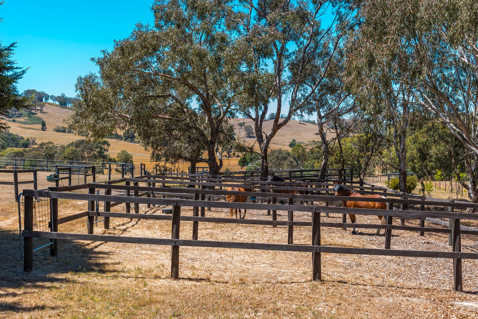 Real Estate and Property in 29 Lowden Close, Goldie, VIC