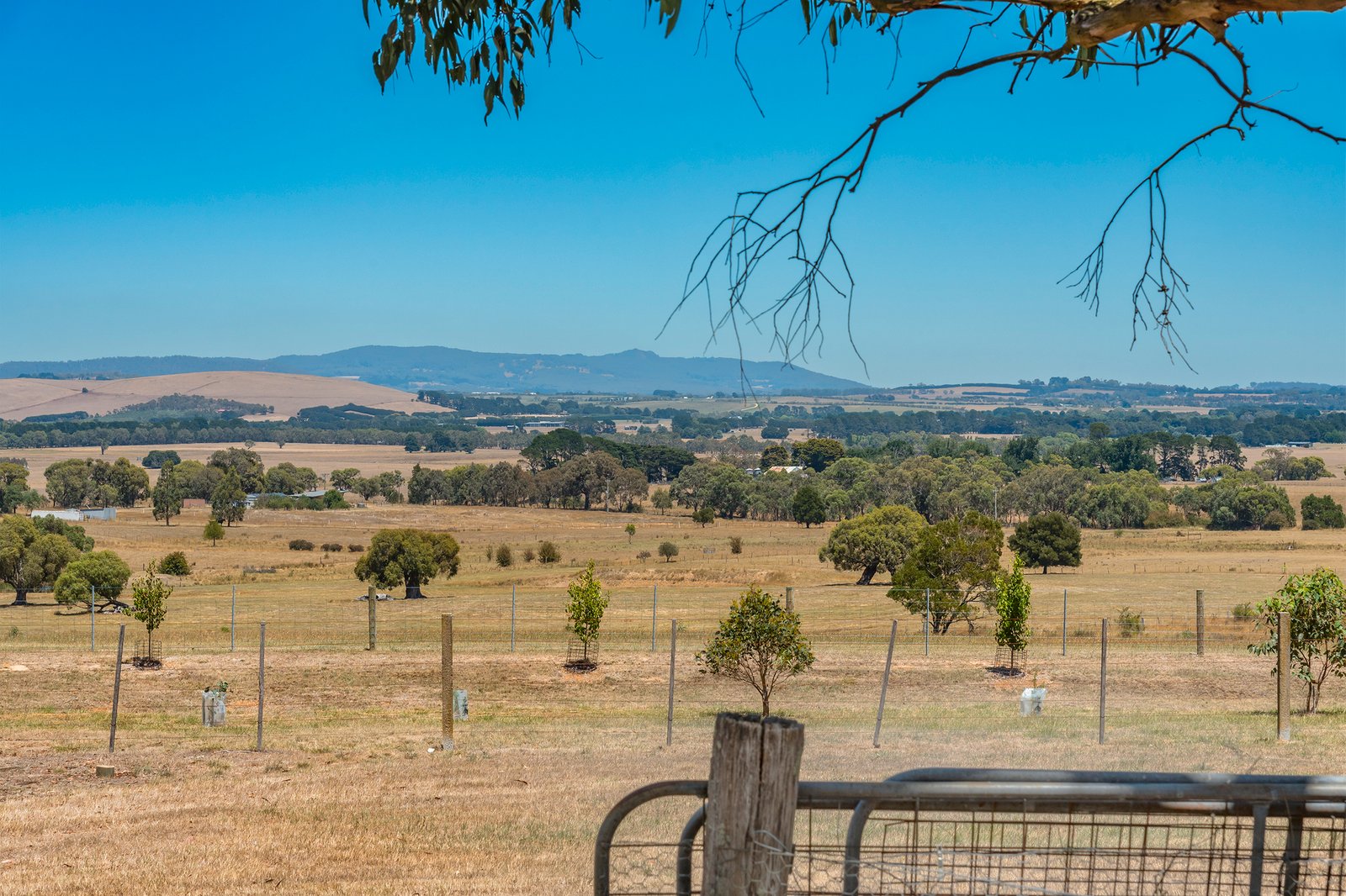 Real Estate and Property in 29 Lowden Close, Goldie, VIC