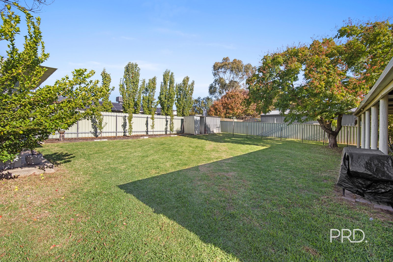 29 Mallory Street ASHMONT 20
