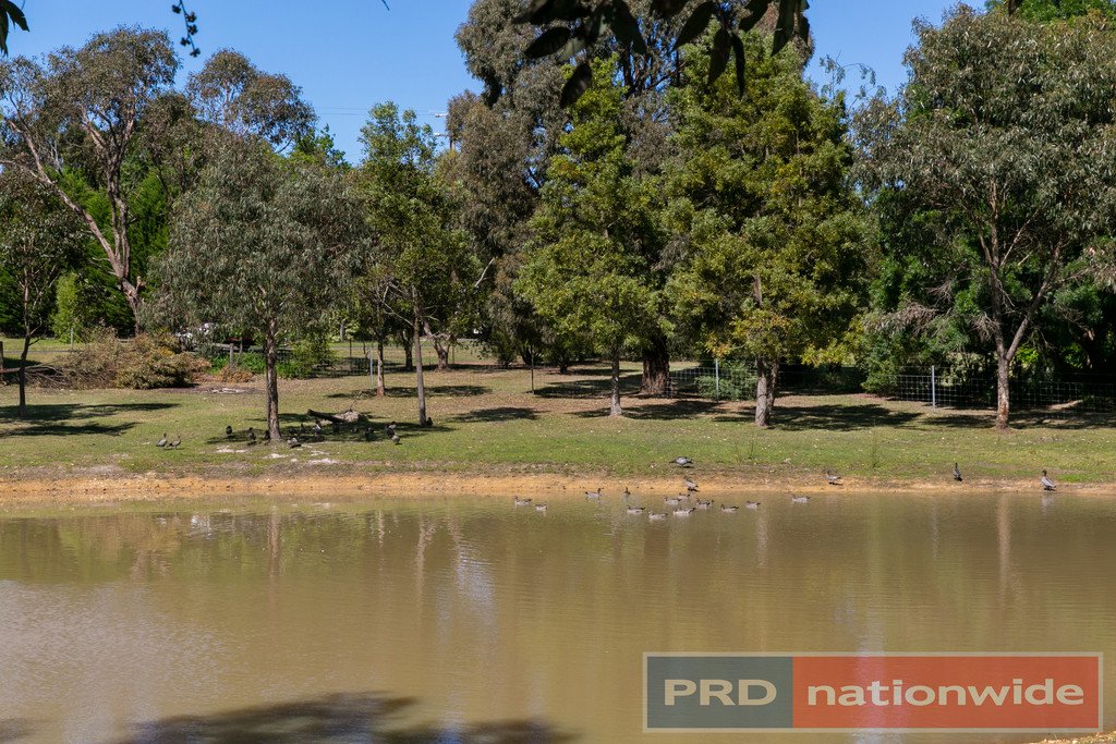 29 Melaleuca Road ENFIELD 3