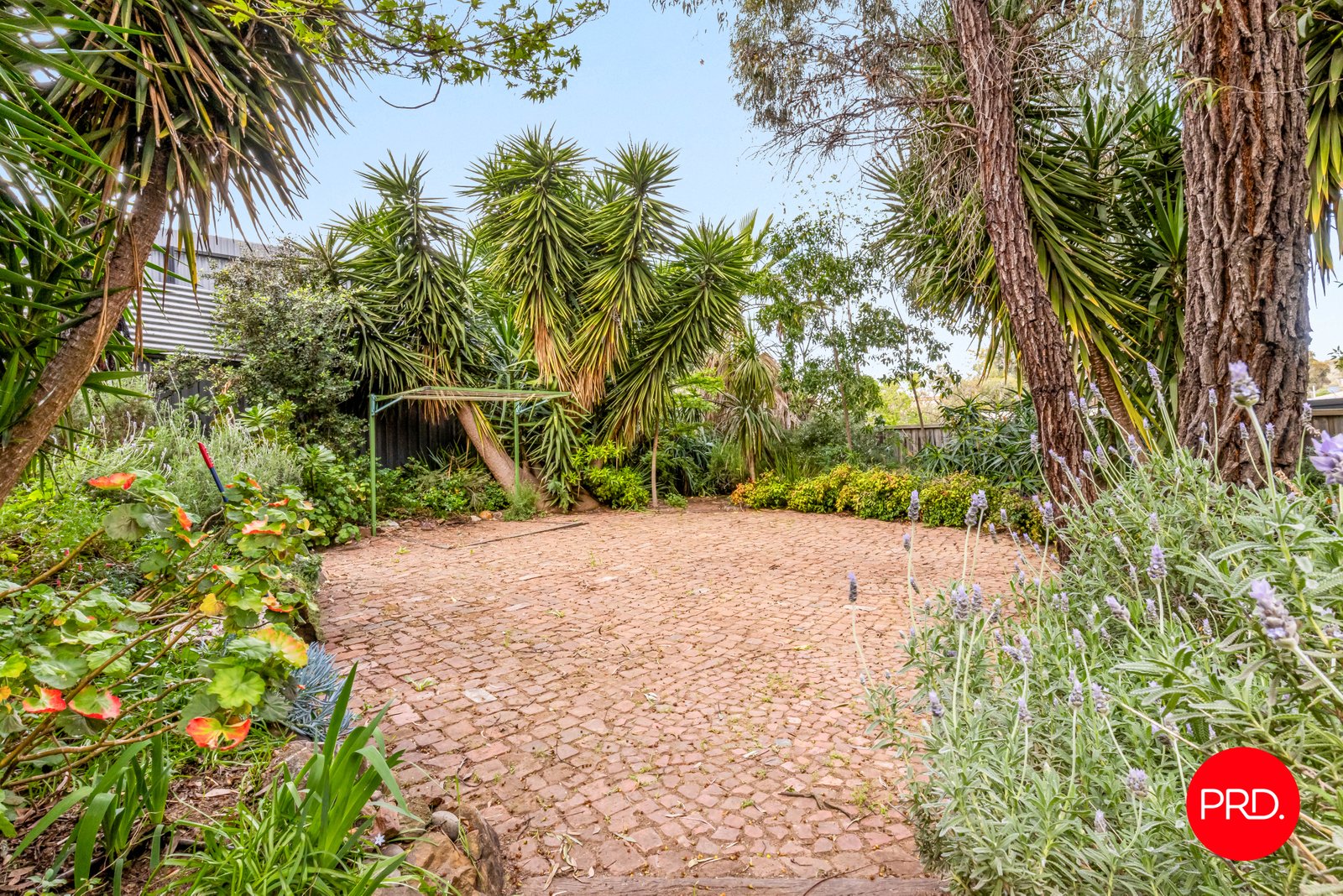29 Moon Street SAILORS GULLY 3