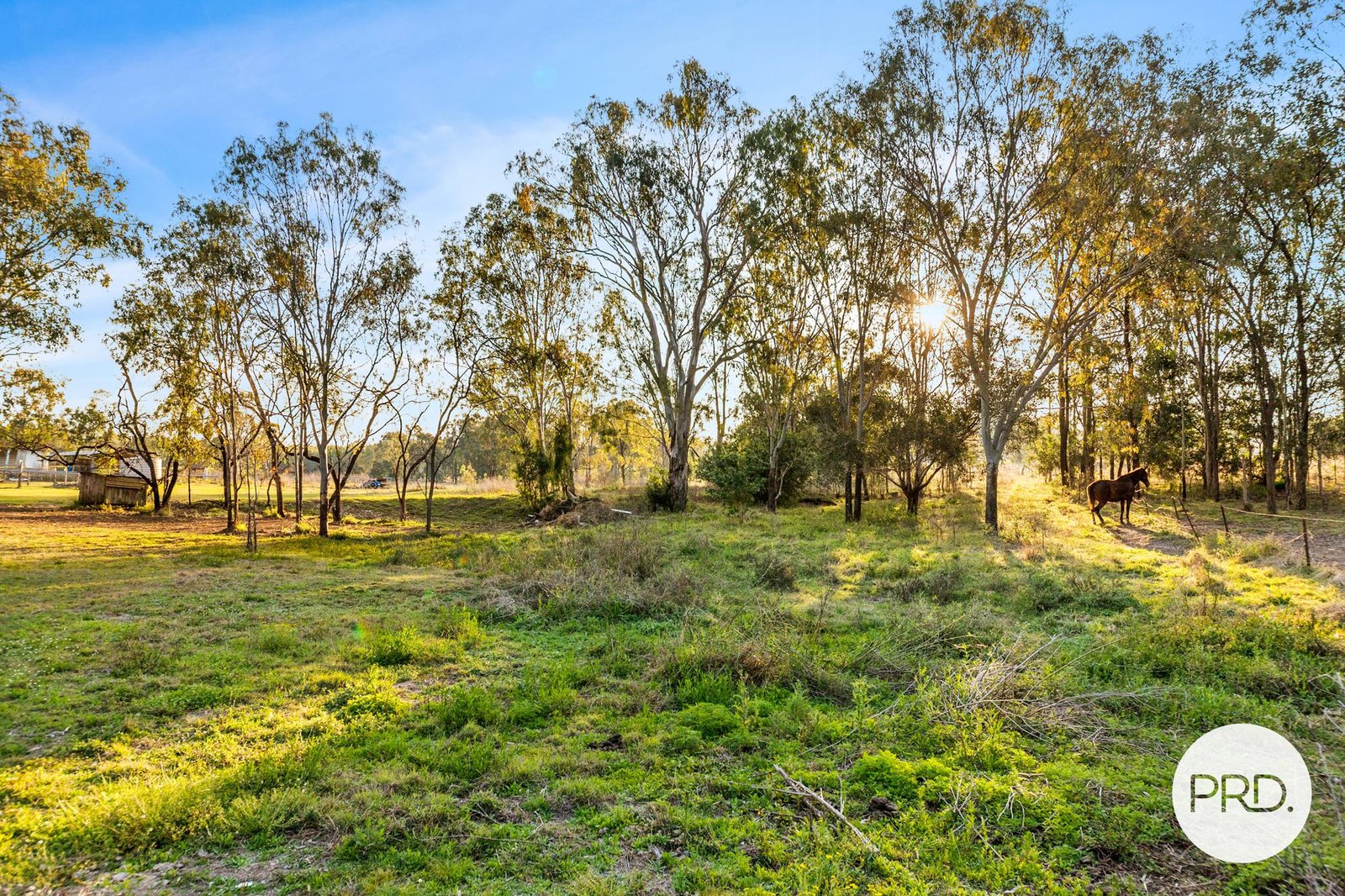 29 Mount Forbes Road EBENEZER 28