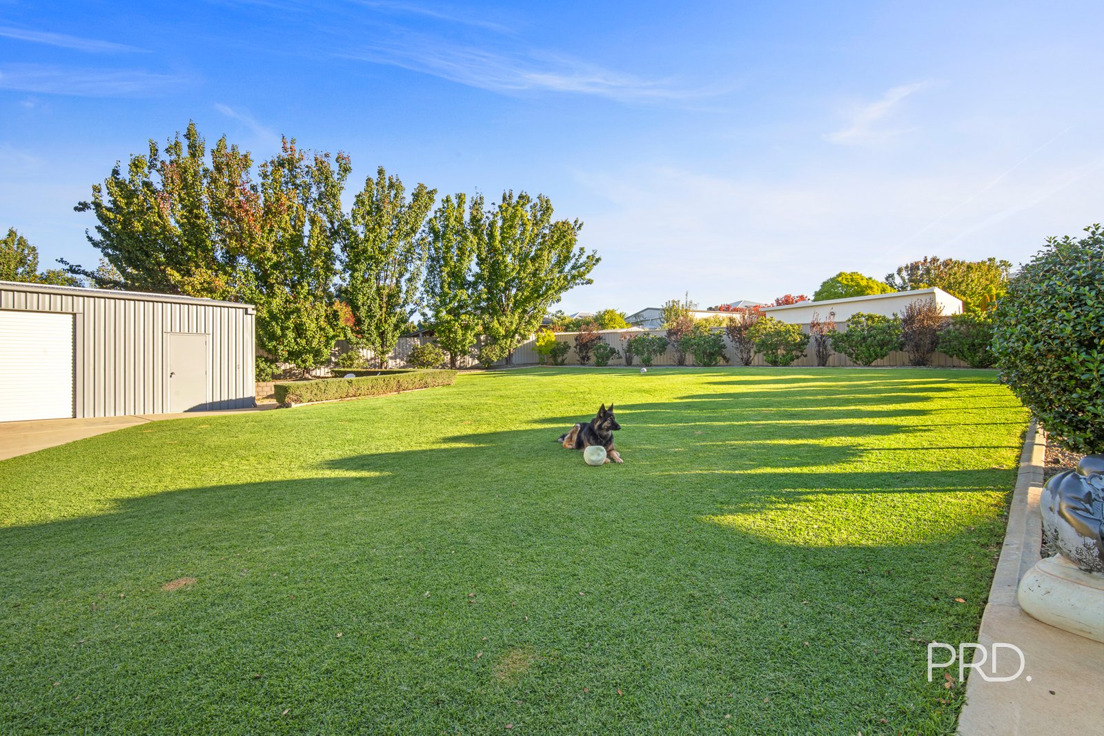 29 Plunkett Drive LAKE ALBERT 29