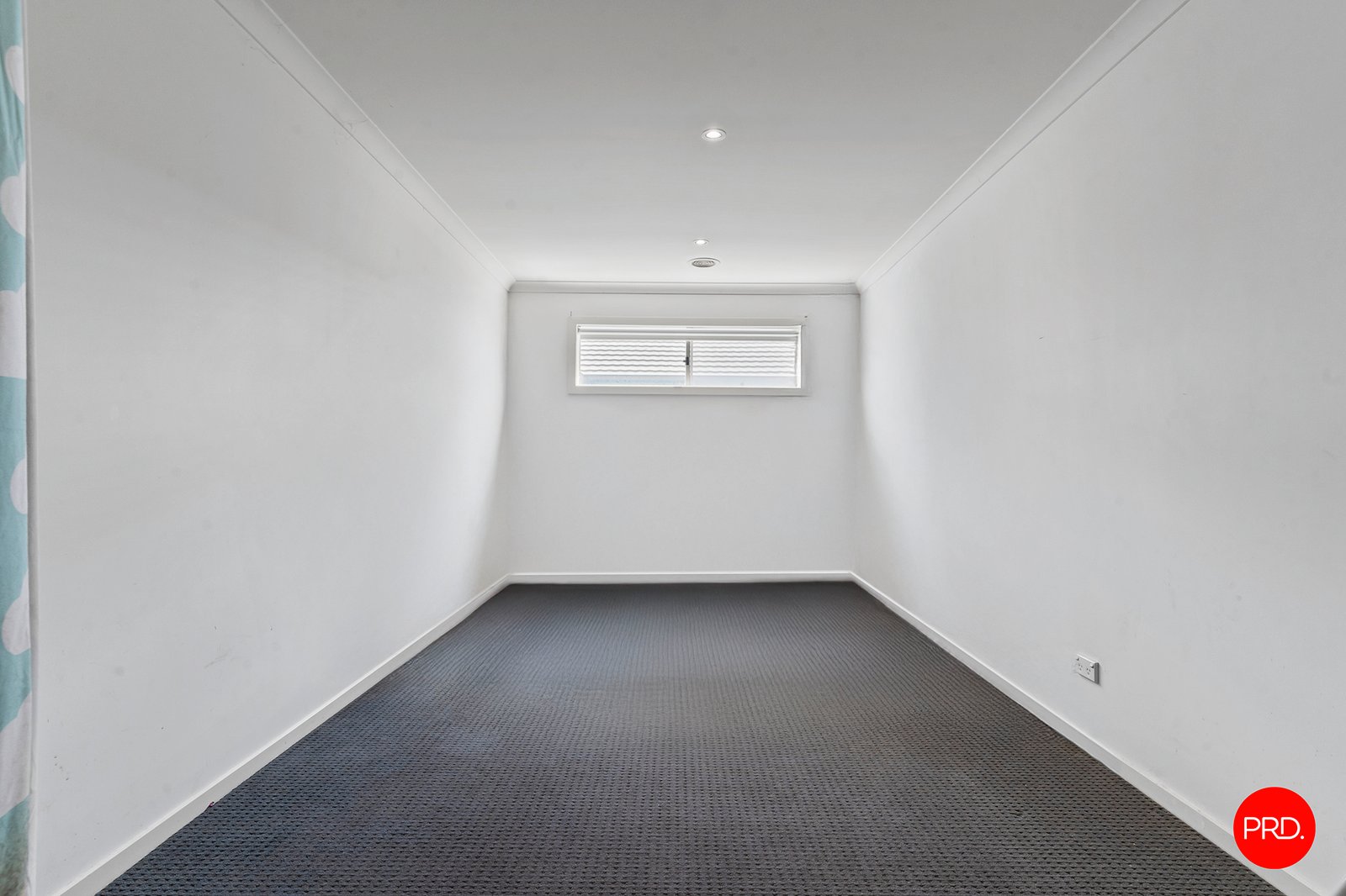 29 Saltbush Street JACKASS FLAT 2